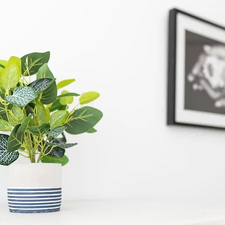 Luna De Fuerteventura By Holidays Fuerteventura *