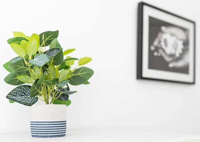 Luna De Fuerteventura By Holidays Fuerteventura *